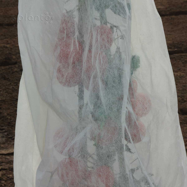 Bio Tomaten Reifevlies, Schlauchware "planto pro"